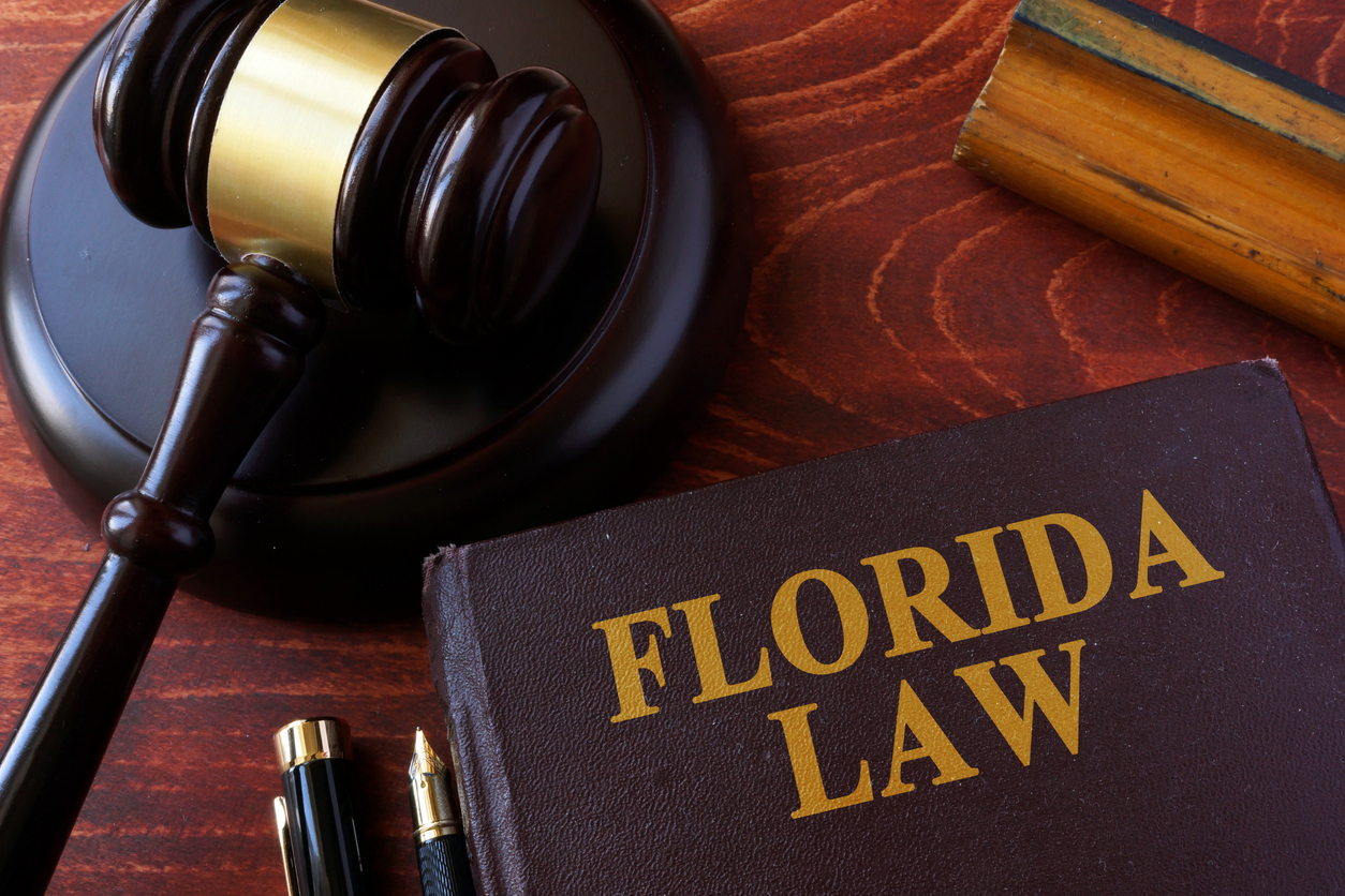 What Is PIP Insurance in Florida?
